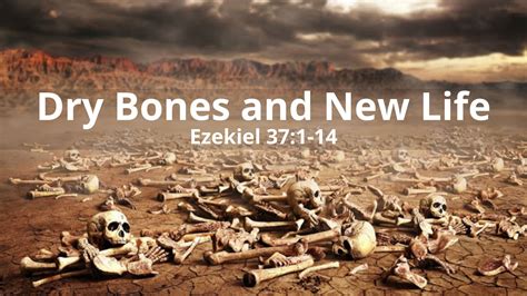 prayer to bring back to life a lot of <b>dry</b> <b>bones</b>! 4. . Sermon on the valley of dry bones pdf